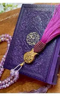 طا.لع بینی. سرکتاب