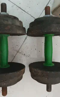 دنبل ورزشی