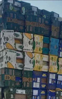 سبد میوه کارتن موز