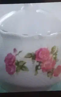 ظروف گل سرخ