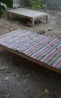 تخت باغی