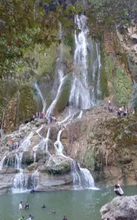تور ماهشهر گشت بیشه