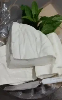 پنیر پر چرب