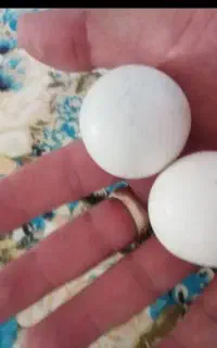 سنگ آسیاب قدیمی