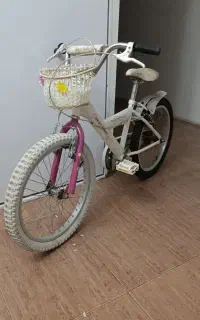 دوچرخه ۲۰دخترانه