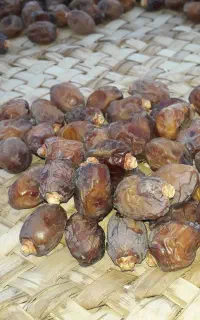 فروش خرمای وانچیده