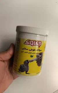 سرلاک عروس هلندی تازه
