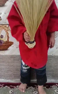جاروی کودکانه