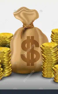 ۲۵۰ میلیون سرمایه نیاز دارم ۴ ماهه