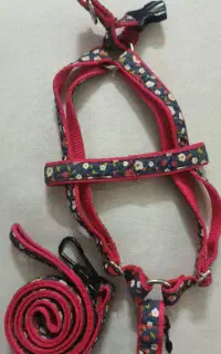 قلاده کتفی