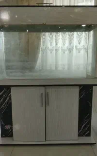آکواریوم شیشه خم