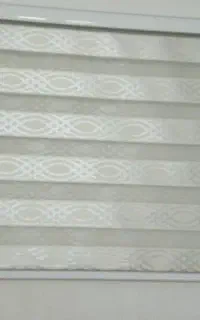 پرده زبرا
