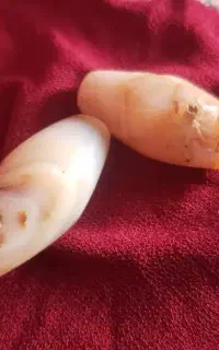 شادگان