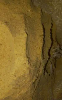 سبوس برنج اوج نرم