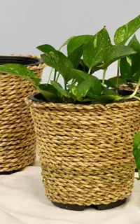 تک فروشی وعمده گلدون های حصیری دست بافت