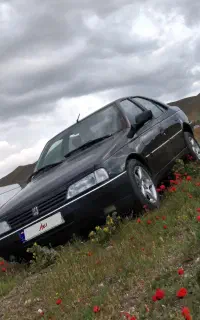 پژو ۴۰۵