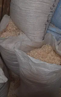 پوشال