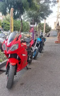 دایلیم ۲۵۰