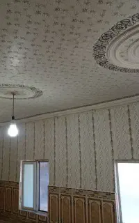 رنگ نما زیبایی