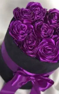 گل رز با ربان