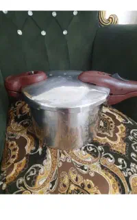 زودپزدرحدنو
