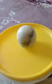 سنگ الماس آسیاب