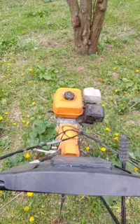 شخم زنی باغ انگور زیر درخت به صورت مترا ژ کنتارات