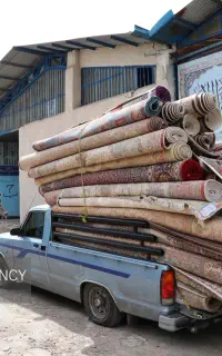 قالیشویی شمالیا