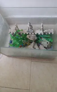 اکفاریون شیشه خم سالم
