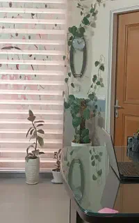 استخدام ادمین اینستا