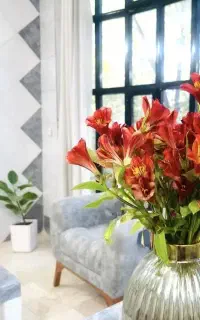 روانشناس تراپیست مشاوره