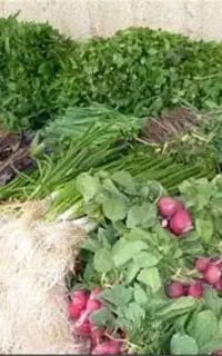 سبزی خوردن.خورشتی.سرخ شده