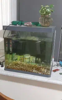 اکواریوم شرکتی اکوا