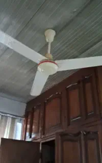 پنکه سقف سالمه