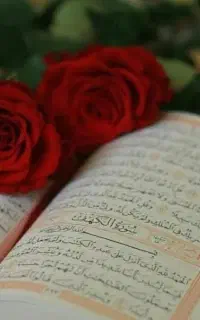 سرکتابه کامل