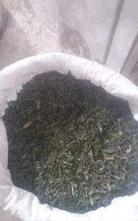 لیزک بن سرخ