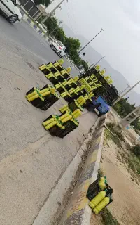 آبلیمو طبیعی