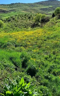 فروش زمین مسکونی در سپیدان