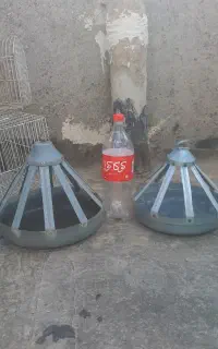 آب دون حیوانات
