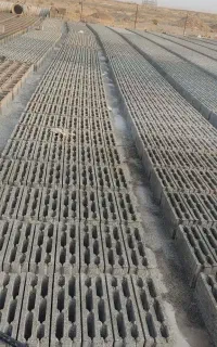 بلوک*کول