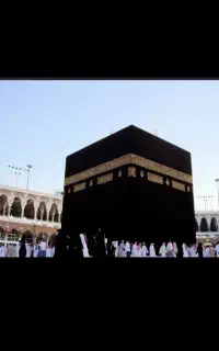 فیش حج تمتو