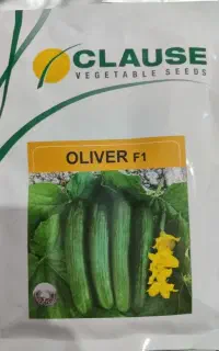 بذر خیار