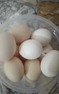 تخم مرغ گلین ریشی چهلتاج