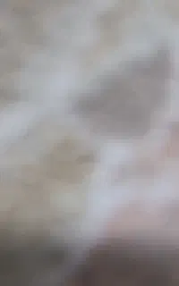 سیم کارت رند09182404044