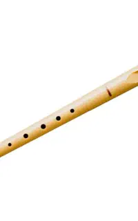 فلوت