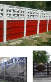 تولیدفروردهای بتی