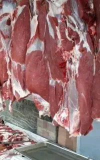 گوشت و قصابی بره شک توشتیر تمام پروار ترجگ