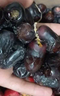رطب تازه و نوبرانه