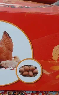 دستگاه جوجه کشی
