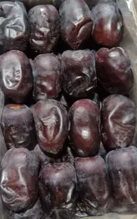 40 عدد مادر کارتون سفارشی
